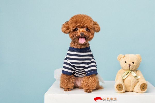 疫情期間香港商品如何轉運到湖北隨州呢？