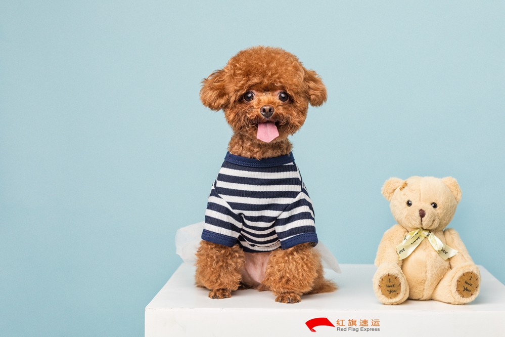 玩具香港進(jìn)口清關(guān) 玩具香港進(jìn)口清關(guān)